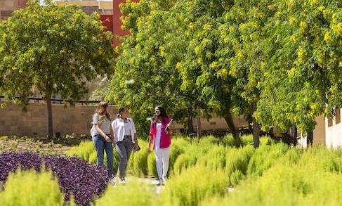 Campus Daytime